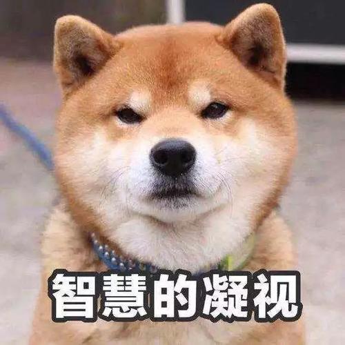 为什么说冬季采暖室温不超过22℃最舒服最健康？(图6)
